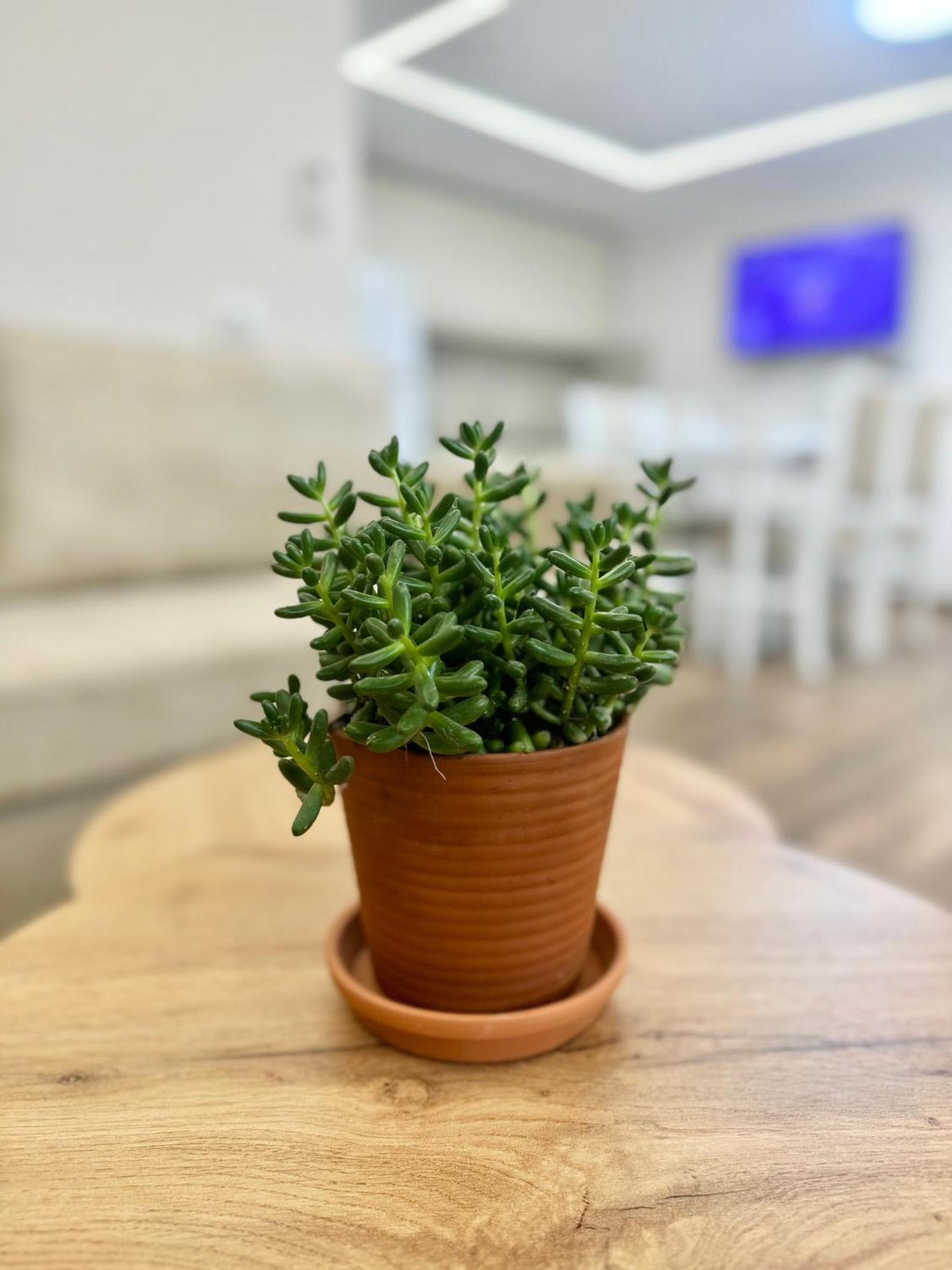 Flors Apartments Durrës 외부 사진